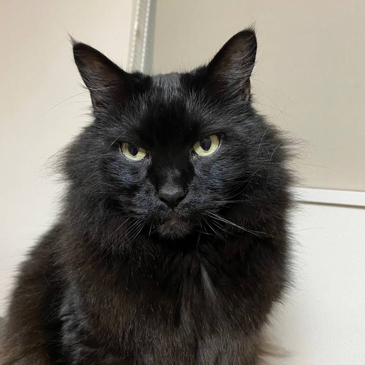 14e324fb 1ddd 479a 946f 3562b8256754 1621702358174