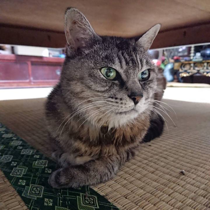 14e3418d f7f0 4139 bb21 7e810d16abc6 1599597164185