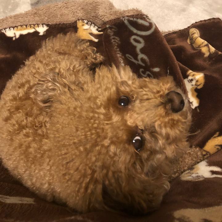 14e39016 6a76 4518 b75f 0027d2be82a1 1582626258837