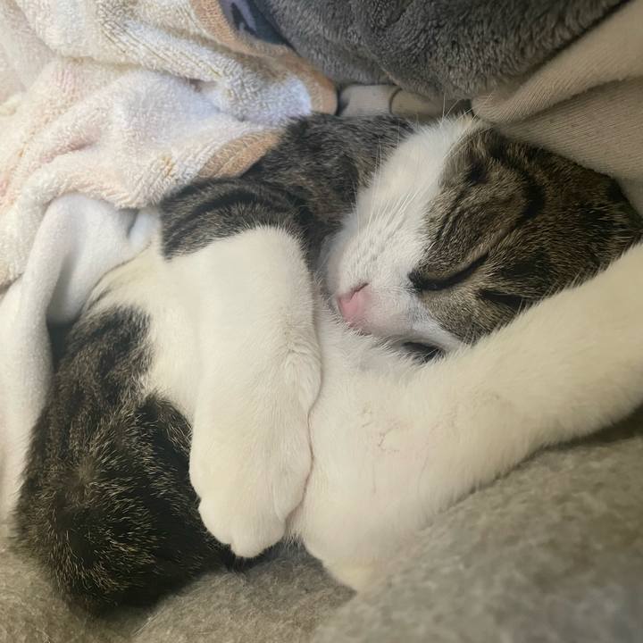 14e397c2 299a 4164 958c 9197eb534217 1738989024508