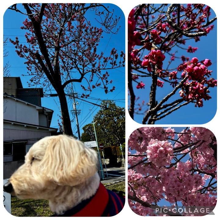 14e3ae88 52b2 4408 9160 ed1fd6cd0837 1772421958878