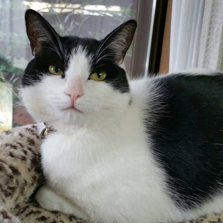 14e3aec9 f4ce 459a af8c 7092d2220655 1525476851806