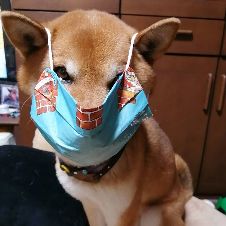 14e3bd88 06c1 4c83 a49e 6fd503957542 1582452776312