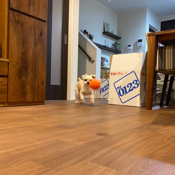 14e3c83b f91a 45ac bb7b 9149c22967f5 1599819854916