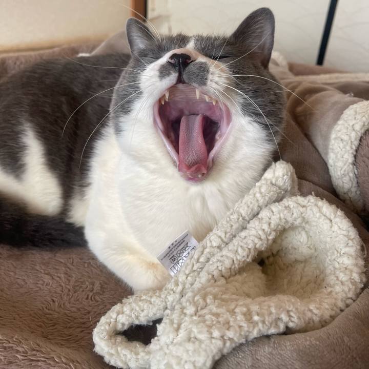 14e3cf01 d061 4e9e b541 2bfcf06a4f59 1738800781233