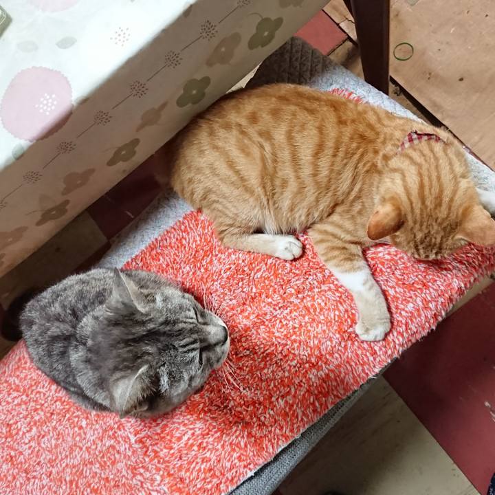 14e3d8e2 92bb 4bf2 a53b 9033f70fc5c1 1563918256382