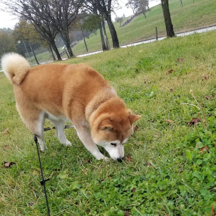 14e3f883 d993 4227 8bf3 ecb31a3f74f1 1634967837658