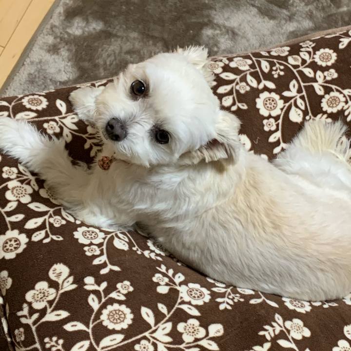 14e45e82 94ae 48e2 8628 dd28435f37c7 1606897100435