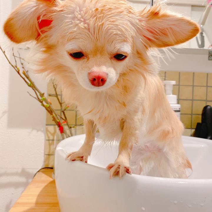 14e473b3 bd82 40fc b219 57d7847e4109 1641720515261