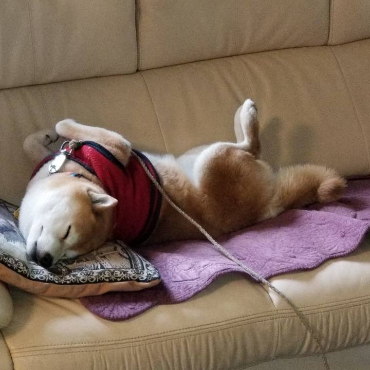 14e47660 f3ef 4671 ac0c a2b1a728529e 1555022786063