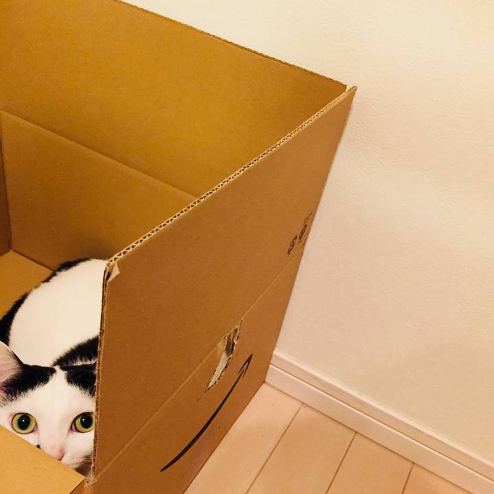 14e48fd8 3f1a 4022 927c 17829211393a 1555237703956