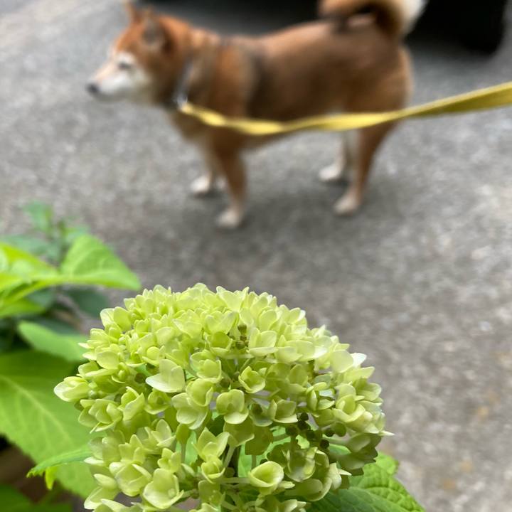 14e49327 0e2c 4aba b1db bffdb85f0c8f 1652956862194