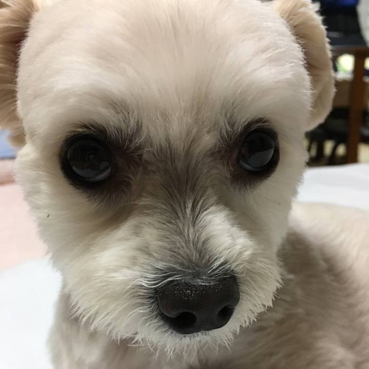 14e4bf22 d769 43d4 9914 313ea185b846 1529754983963