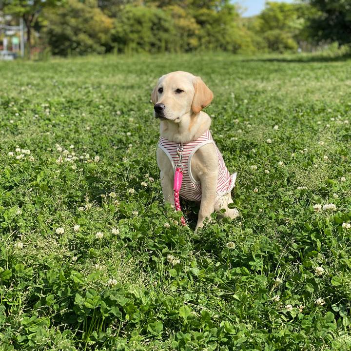 14e4c5fa 1e7b 4906 9583 6263c78cba39 1618415093354