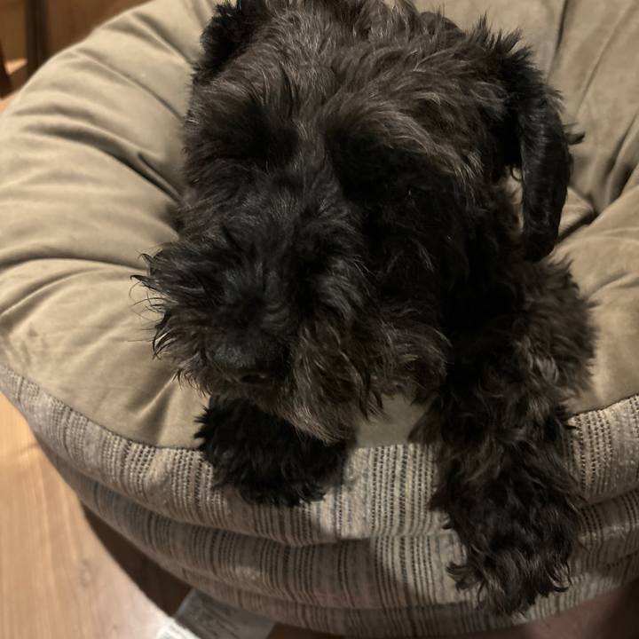 14e4d3af 4763 4af8 b5f6 66a91859a86f 1711688639809