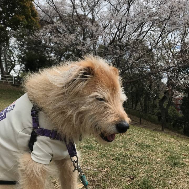 14e4ede6 d98f 4c70 8948 861ea64a6267 1585297668179