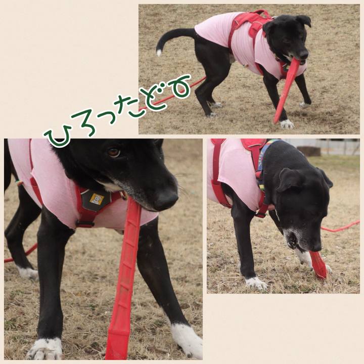 14e5521c 3908 4912 a766 1d1c94dd3124 1677116951236