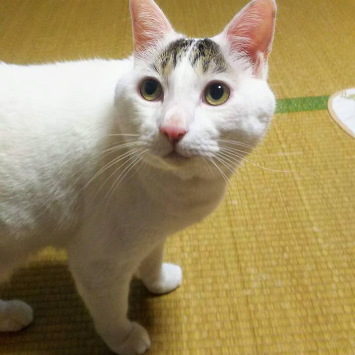 14e56434 d525 44e7 9ad0 1cbb6b1858bd 1574156040018