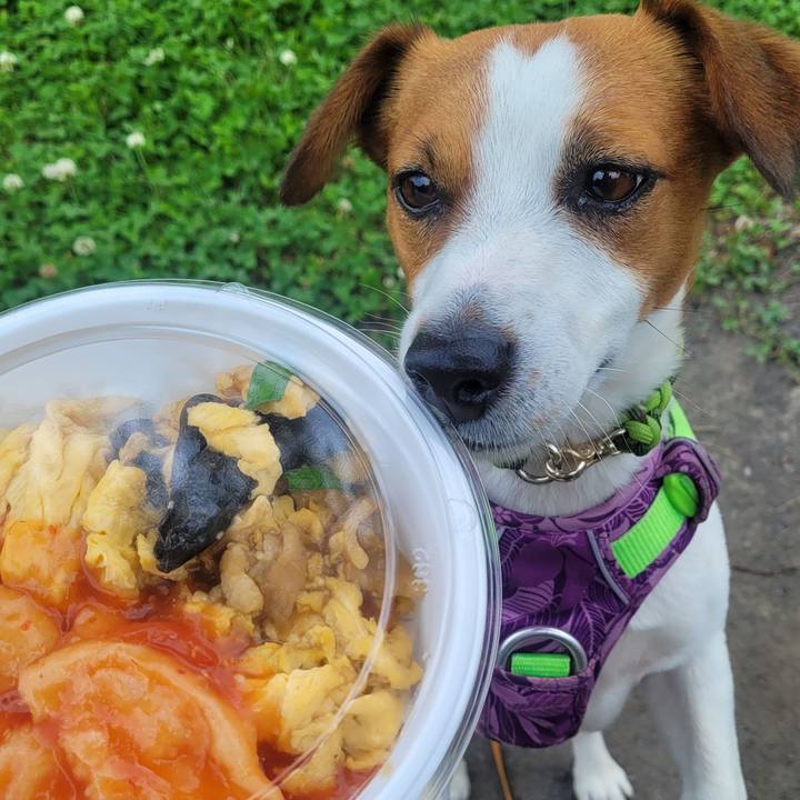 14e588f2 d892 4467 a536 003d2a31dd0f 1687688564084