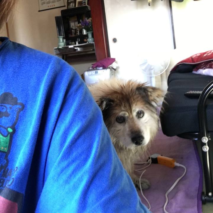 14e5b27d d869 4186 82c0 038e0a159792 1560794274768