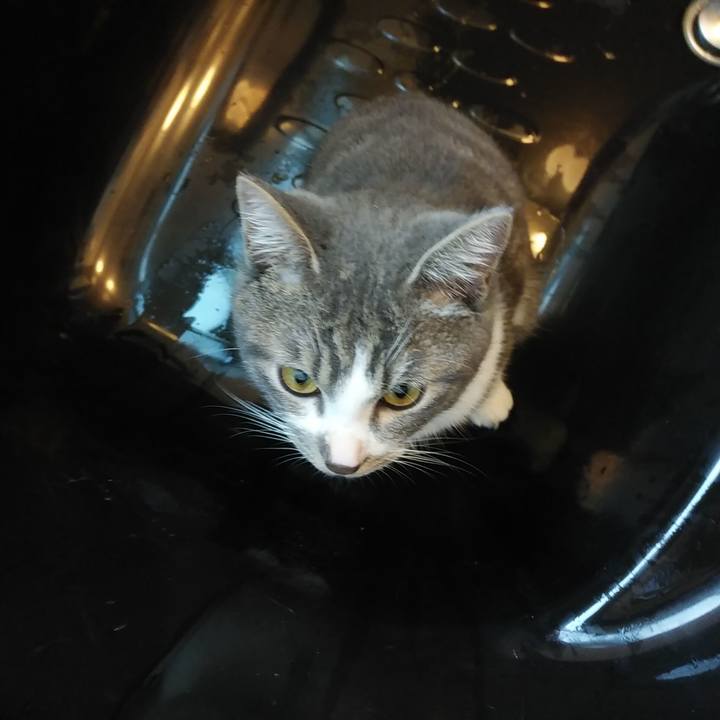 14e5e95e 275d 4ca5 9f4d 816617364723 1574032815243