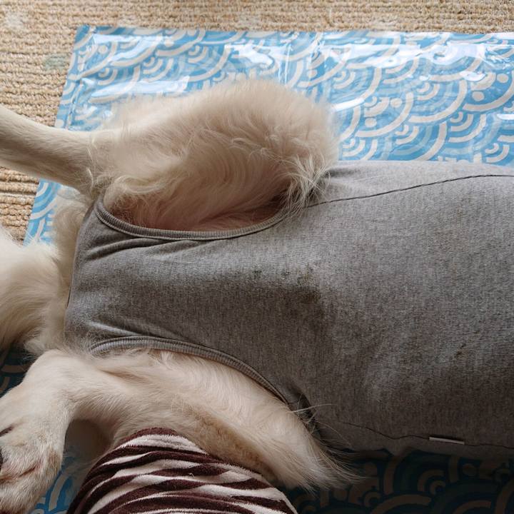 14e60f94 3e29 4c96 978e 28d85492dae0 1567238456166