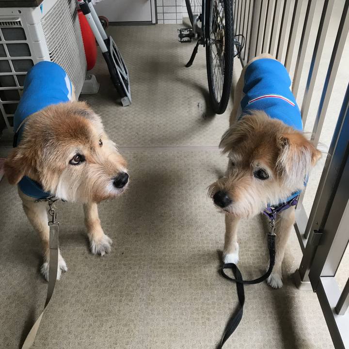 14e613ea abe1 40d8 ae8f 1293b2a4d93d 1598247157237