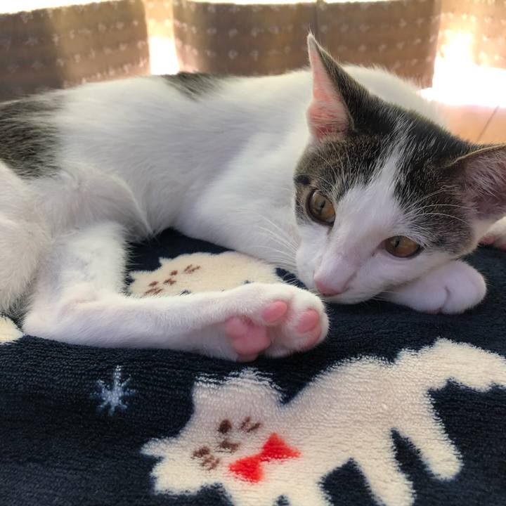 14e64c3f 91fc 4577 90c0 5da2f55842cd 1569208113957