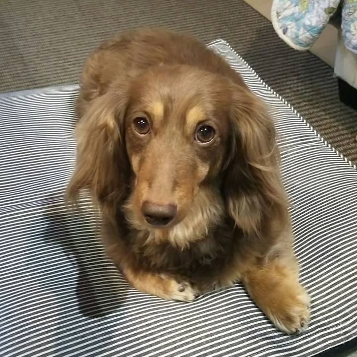 14e6532c b33d 42e2 880f 6f3fb29443c4 1526295704635