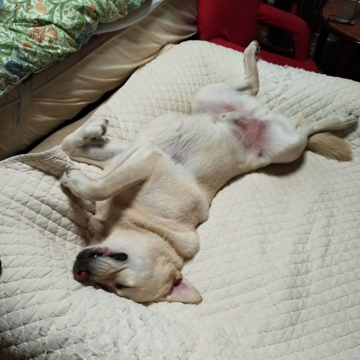 14e664ec ab0b 4d64 b816 5f881115573d 1622950626982