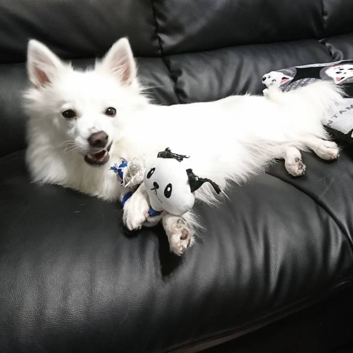 14e6b32d 8f05 4d46 9bc7 a596650f199b 1553522615259