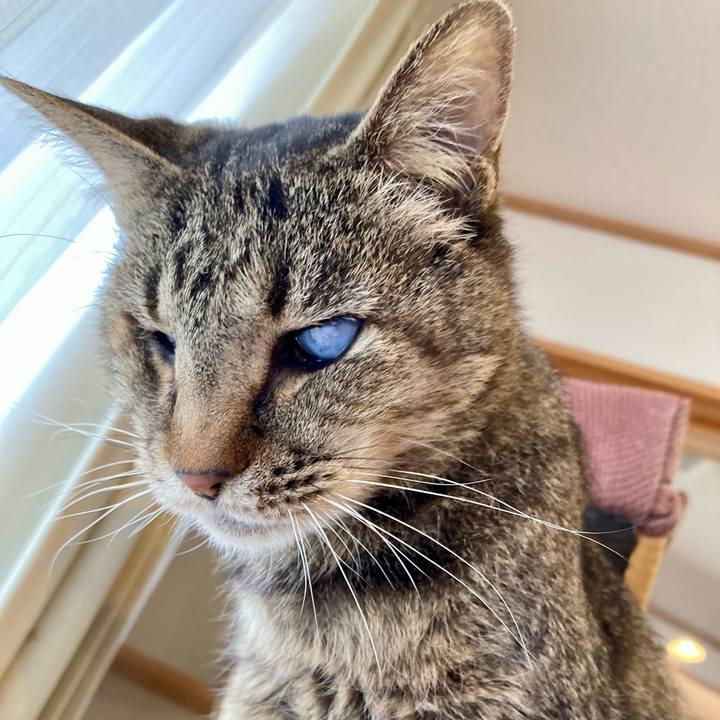 14e6e01e 4b41 418e a8b3 12298e216d0b 1677985859224