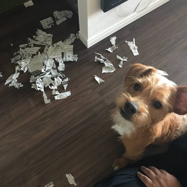 14e6e024 841e 43eb a752 c733828a9734 1527929832896