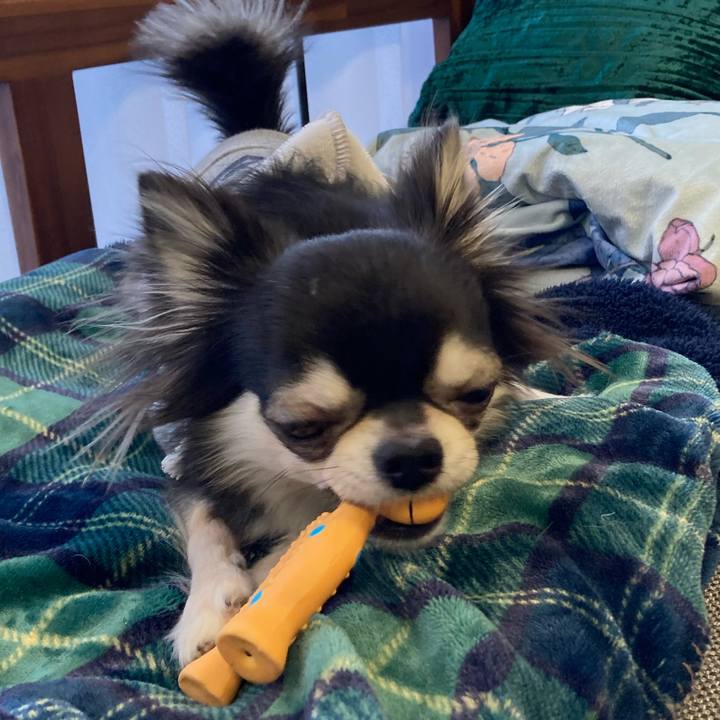 14e6e444 d6ec 4f4d a655 69a4dbc1745d 1642823558609