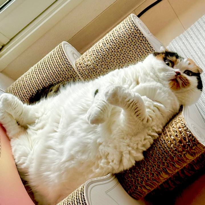 14e6faee 4cd4 4aaa aef0 9a944e3c6b15 1690151841826