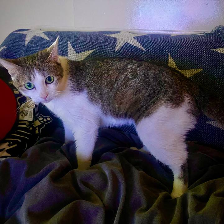 14e7393d c91b 4893 89af 653c3b1be732 1626947238151