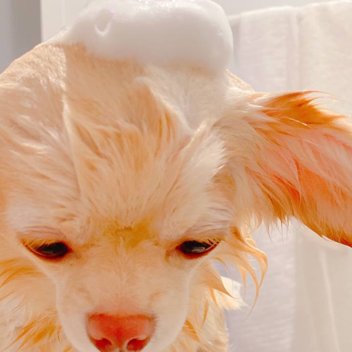 14e73d29 ff31 4127 ac67 c1d42552aeff 1637984063802