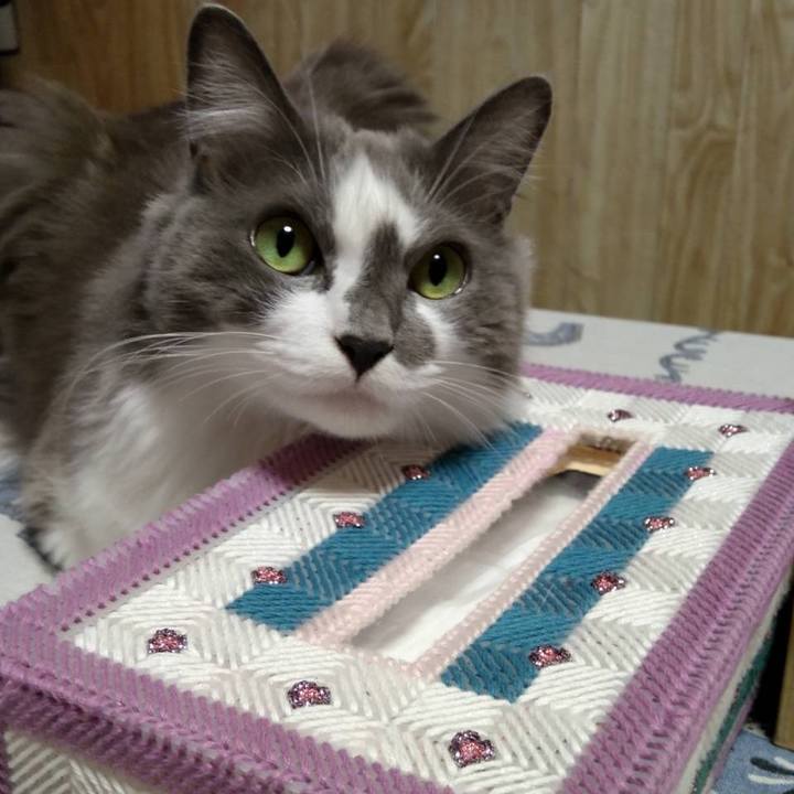 14e77c6b d712 48fd 872f 70e1debbe66e 1697025072489