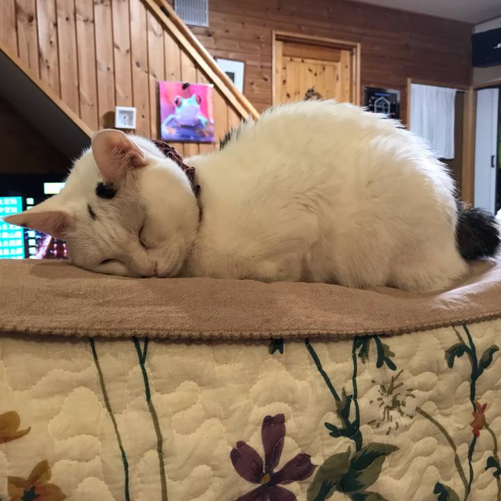 14e7a465 3672 44b4 a098 6d5e5ea1c8a5 1620742522151