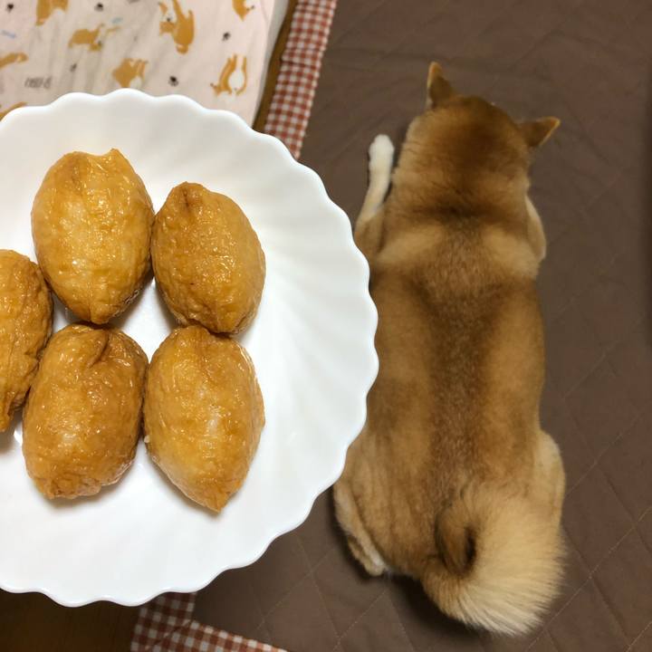 14e7c79c 6dce 470b 945a 065e6b5b31a4 1555976047667