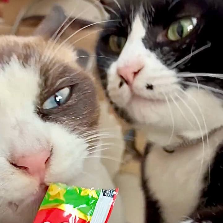 14e7c93c 0576 40e8 9407 e7010fa33dd0 1765881188869