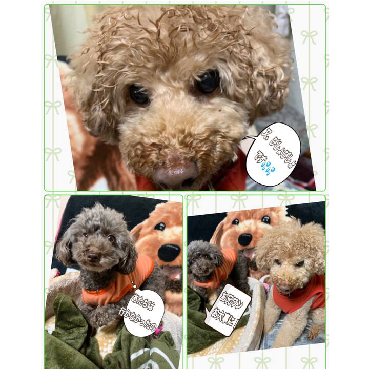 14e7e0d3 248b 45dd 88b7 92ac6e438884 1579076415787