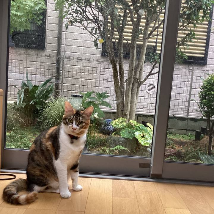 14e7eb45 76aa 47d5 bb95 ce3ddae3575f 1664940556243