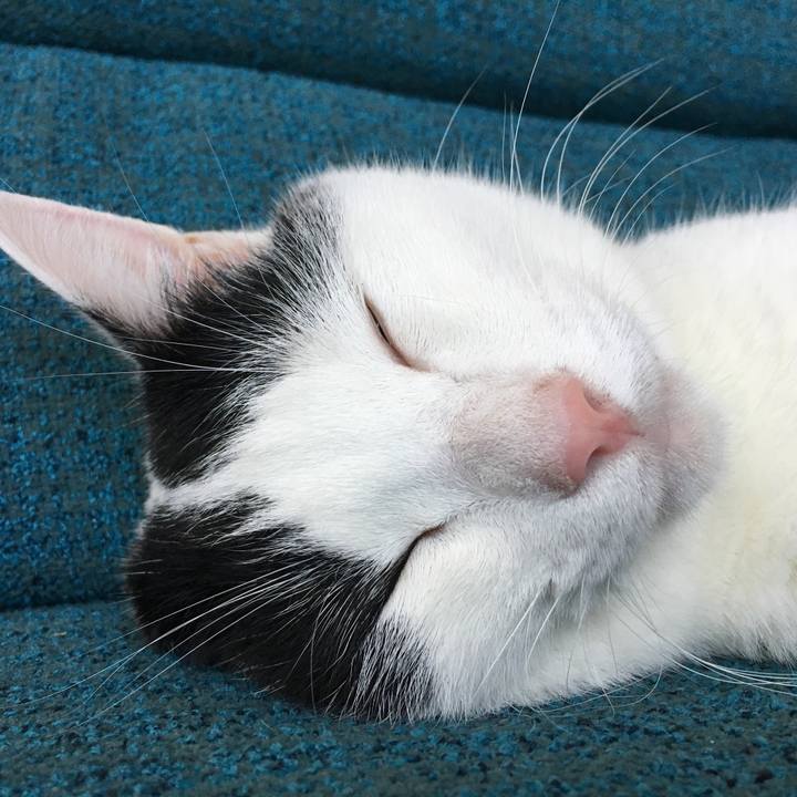 14e7eea4 dd73 4d2b 9573 67ba96fdc11a 1533014594721