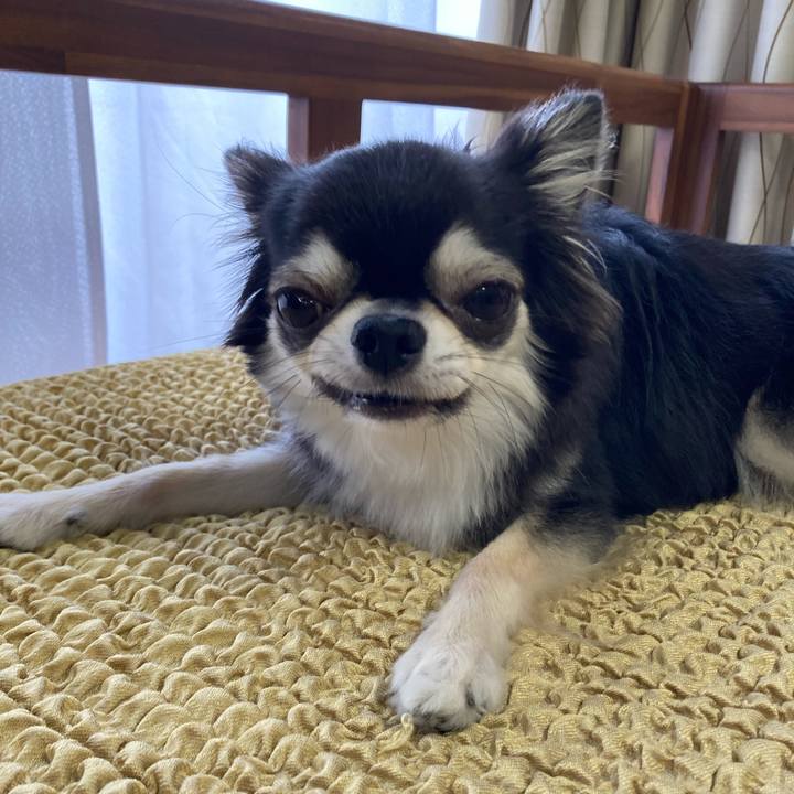 14e7f113 aa7a 42f1 b389 ba920654f43f 1657439034323