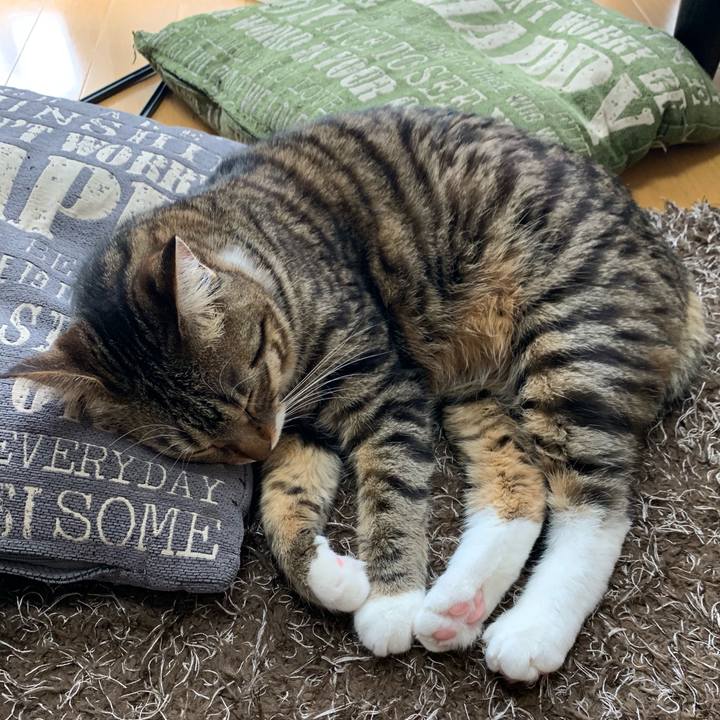 14e7f9b8 cb6d 417a 88f6 1d74cdb33507 1551928742704