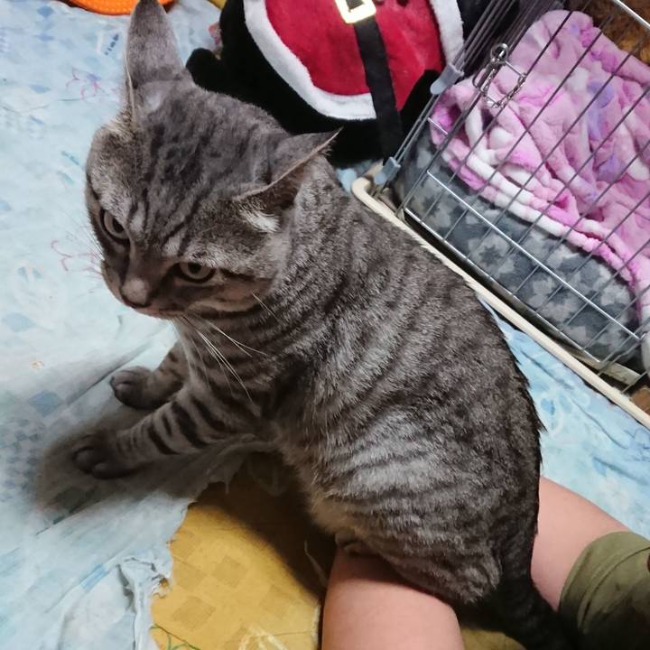 14e81b95 f5ff 431a b67e 8c4bda192eb0 1538968867225