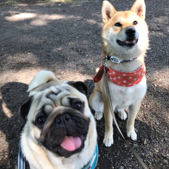 14e825b6 3544 4d31 b74d 3d7b91816408 1560397928941