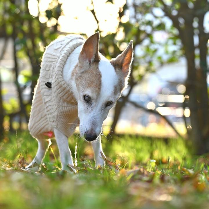 14e842df a5e3 4f4e 8fcf 9027af766ff5 1762957058068