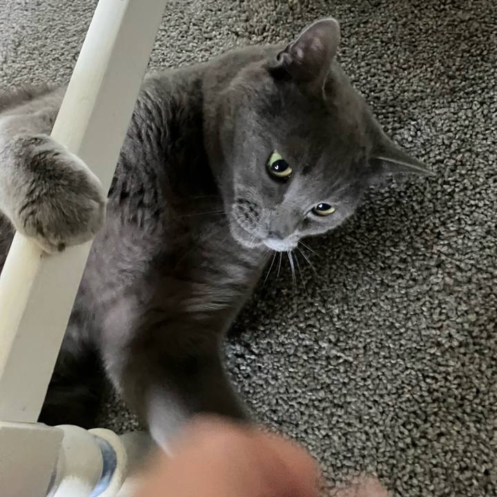 14e88baa f9d1 4252 8775 01c60858baf4 1683569549856